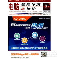 计算机编程技巧维护与职称晋升 从技术深耕到成果展示